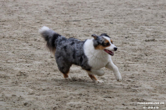 Hundestrand Norddeich 30.5.2019