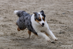 Hundestrand Norddeich 30.5.2019