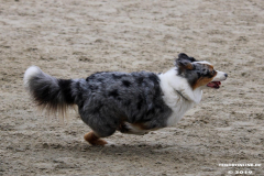 Hundestrand Norddeich 30.5.2019