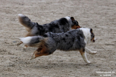 Hundestrand Norddeich 30.5.2019