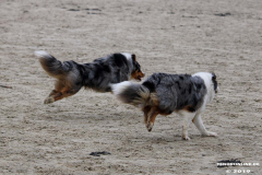 Hundestrand Norddeich 30.5.2019