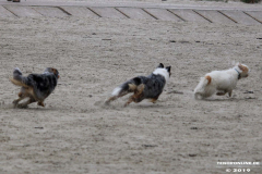 Hundestrand Norddeich 30.5.2019