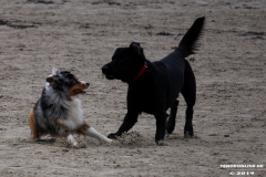 Hundestrand Norddeich 30.5.2019
