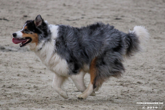 Hundestrand Norddeich 30.5.2019