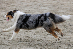 Hundestrand Norddeich 30.5.2019