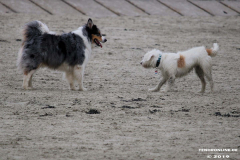 Hundestrand Norddeich 30.5.2019