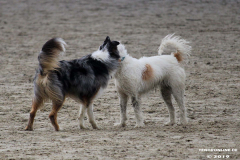 Hundestrand Norddeich 30.5.2019