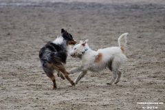 Hundestrand Norddeich 30.5.2019