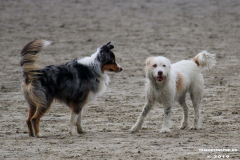 Hundestrand Norddeich 30.5.2019