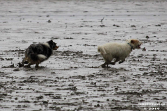 Hundestrand Norddeich 30.5.2019