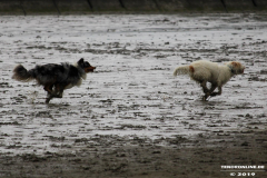 Hundestrand Norddeich 30.5.2019