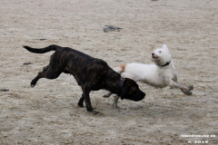 Hundestrand Norddeich 30.5.2019