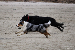 Hundestrand Norddeich 30.5.2019
