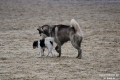 Hundestrand Norddeich 30.5.2019