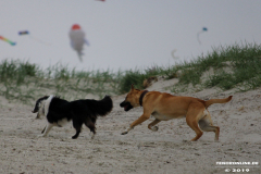 Hundestrand Norddeich 30.5.2019