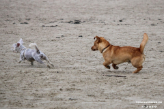 Hundestrand Norddeich 30.5.2019