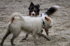Hundestrand Norddeich 30.5.2019