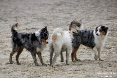 Hundestrand Norddeich 30.5.2019