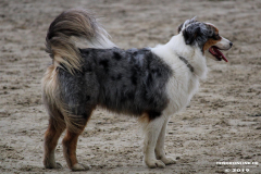 Hundestrand Norddeich 30.5.2019