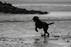 Hundestrand Norddeich 30.5.2019