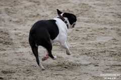 Hundestrand Norddeich 30.5.2019