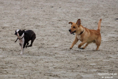 Hundestrand Norddeich 30.5.2019