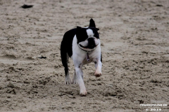Hundestrand Norddeich 30.5.2019