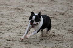 Hundestrand Norddeich 30.5.2019