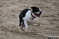 Hundestrand Norddeich 30.5.2019