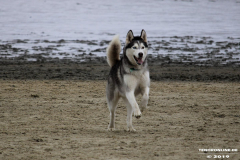Hundestrand Norddeich 30.5.2019