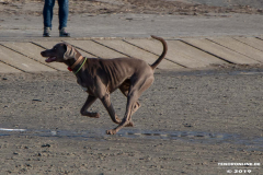 Hundestrand-Norddeich-31.10.2019-16
