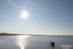 Hundestrand-Norddeich-31.10.2019-24