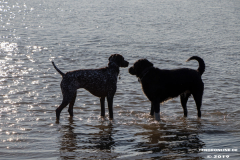 Hundestrand-Norddeich-31.10.2019-32