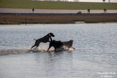 Hundestrand-Norddeich-31.10.2019-34