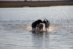 Hundestrand-Norddeich-31.10.2019-35