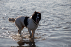 Hundestrand-Norddeich-31.10.2019-36