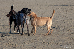 Hundestrand-Norddeich-31.10.2019-37