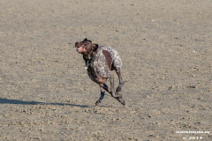 Hundestrand-Norddeich-31.10.2019-38