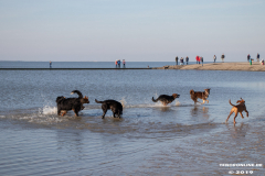 Hundestrand-Norddeich-31.10.2019-45