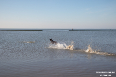Hundestrand-Norddeich-31.10.2019-46