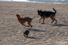 Hundestrand-Norddeich-31.10.2019-57
