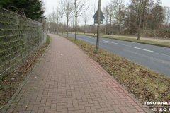 Im Horst Norden 20.2.2019-1