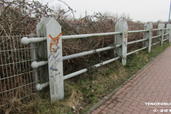 Im Horst Norden 20.2.2019-3