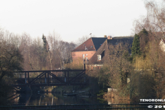 Im Horst Norden 27.2.19-2