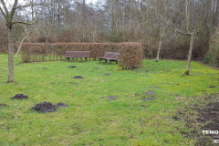 Im Horst Norden Februar 2019-2