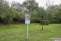 Streuobstwiese-Im-Horst-Norden-9.10.2019-3