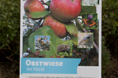 Streuobstwiese-Im-Horst-Norden-9.10.2019-4