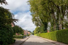 Im-Stuvert-Stadt-Norden-18.8.2022-2