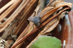 Natur-Norden-25.5.2019-5