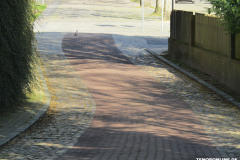 Jan-ten-Doornkaat-Koolman-Platz-Norden-19.4.2019-1